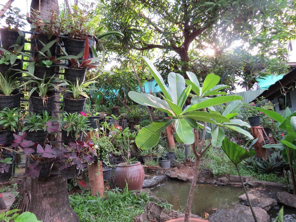Naruncha Green House Чиангмай Экстерьер фото